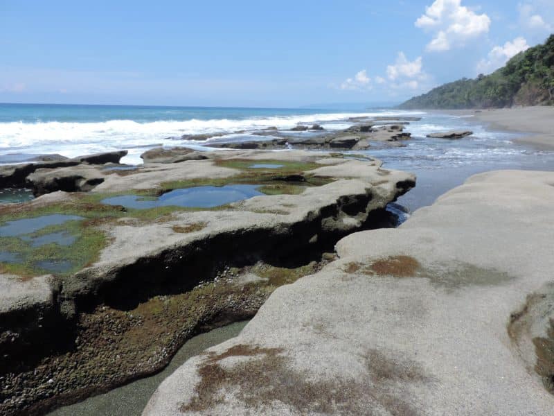 Adventures in the OSA Peninsula Adventures in the OSA Peninsula