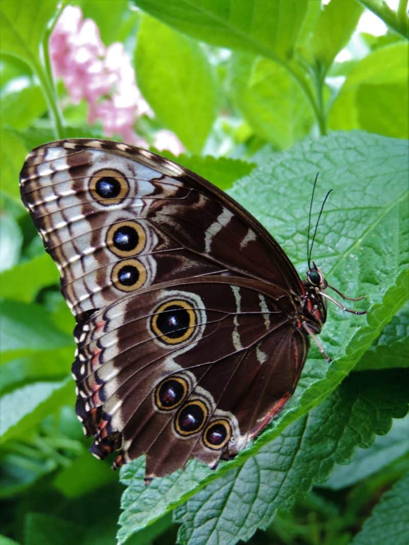 A misty stay in the Monteverde Cloud Forest