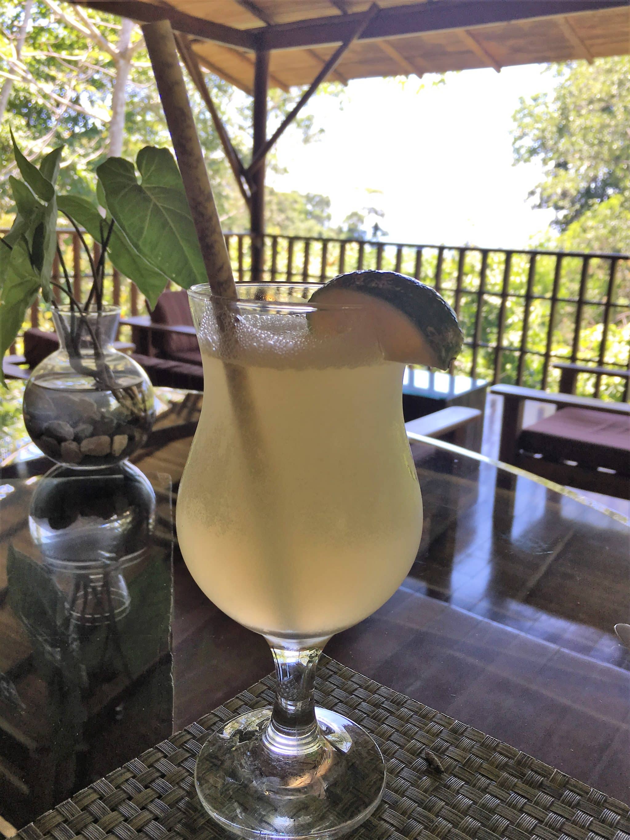 A remote rainforest stay at El Remanso Lodge