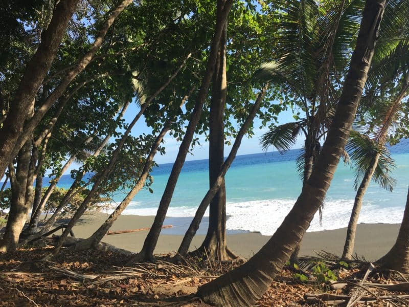 Adventures in the OSA Peninsula Adventures in the OSA Peninsula