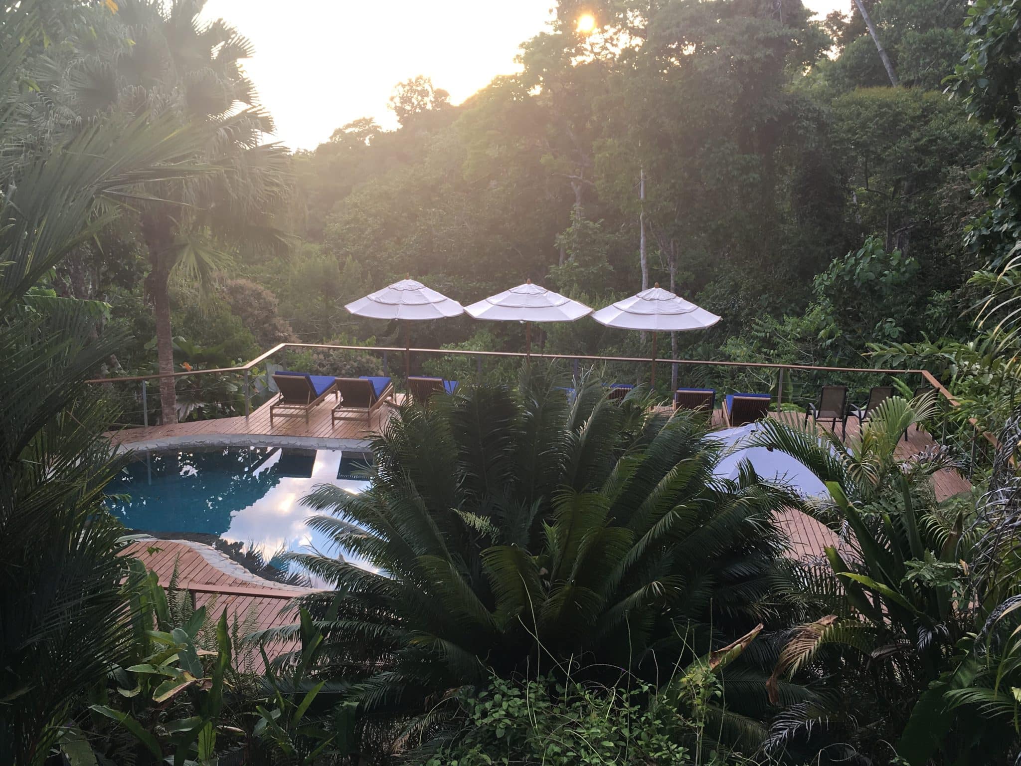 A remote rainforest stay at El Remanso Lodge