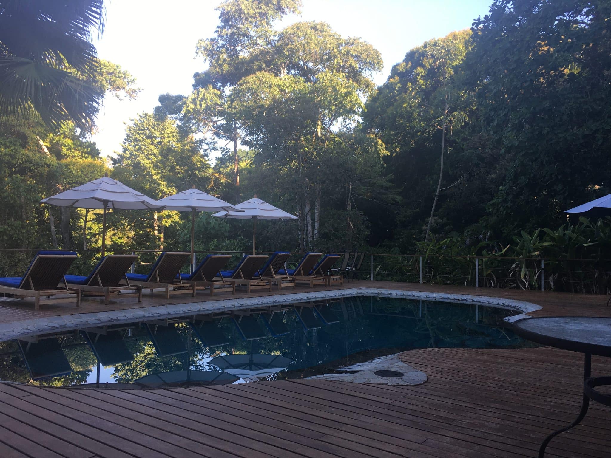 A remote rainforest stay at El Remanso Lodge