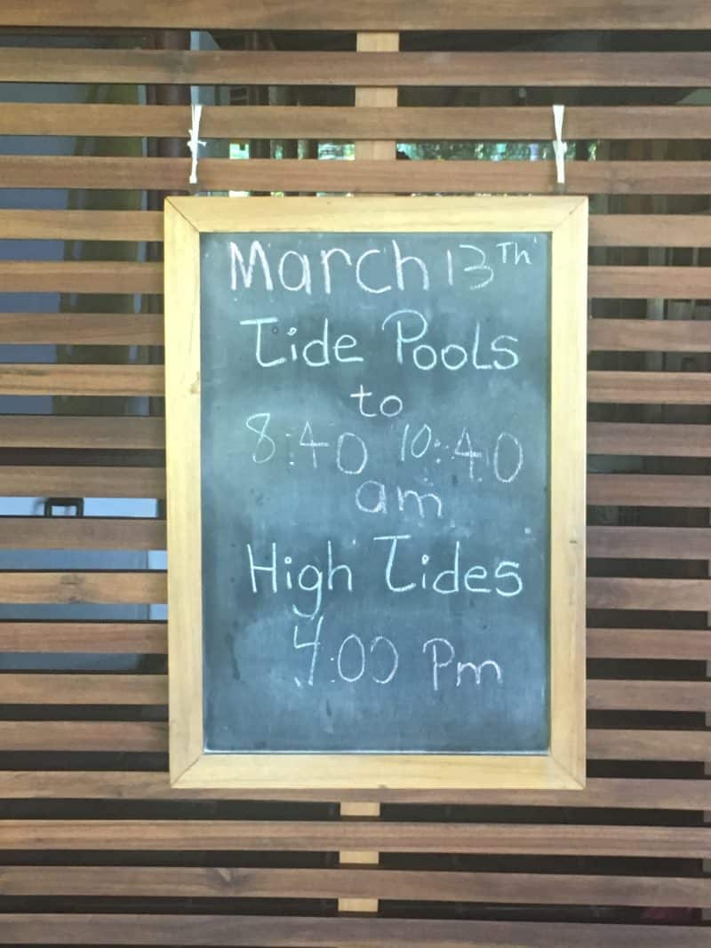 Adventures in the OSA Peninsula Adventures in the OSA Peninsula