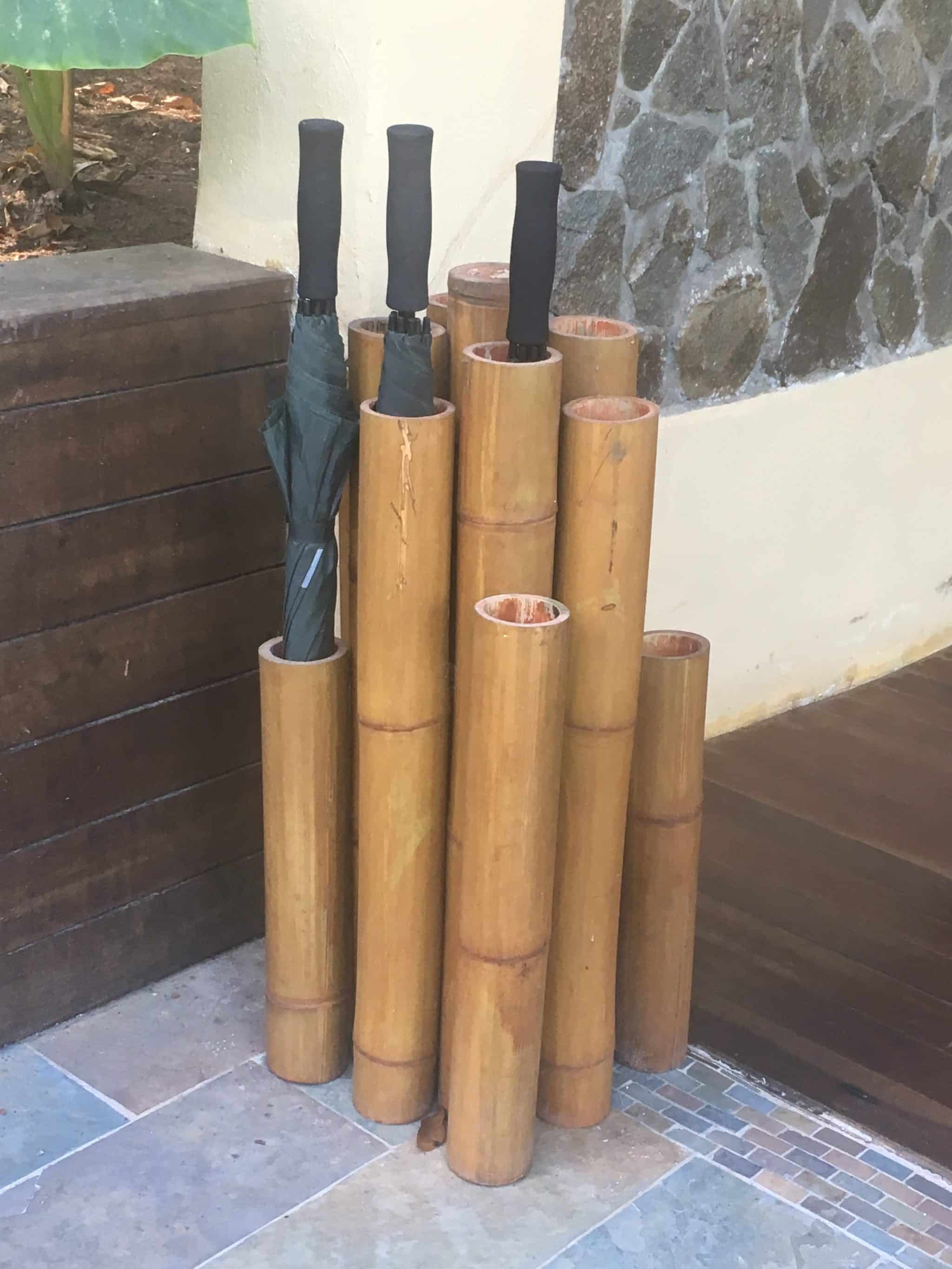 A remote rainforest stay at El Remanso Lodge