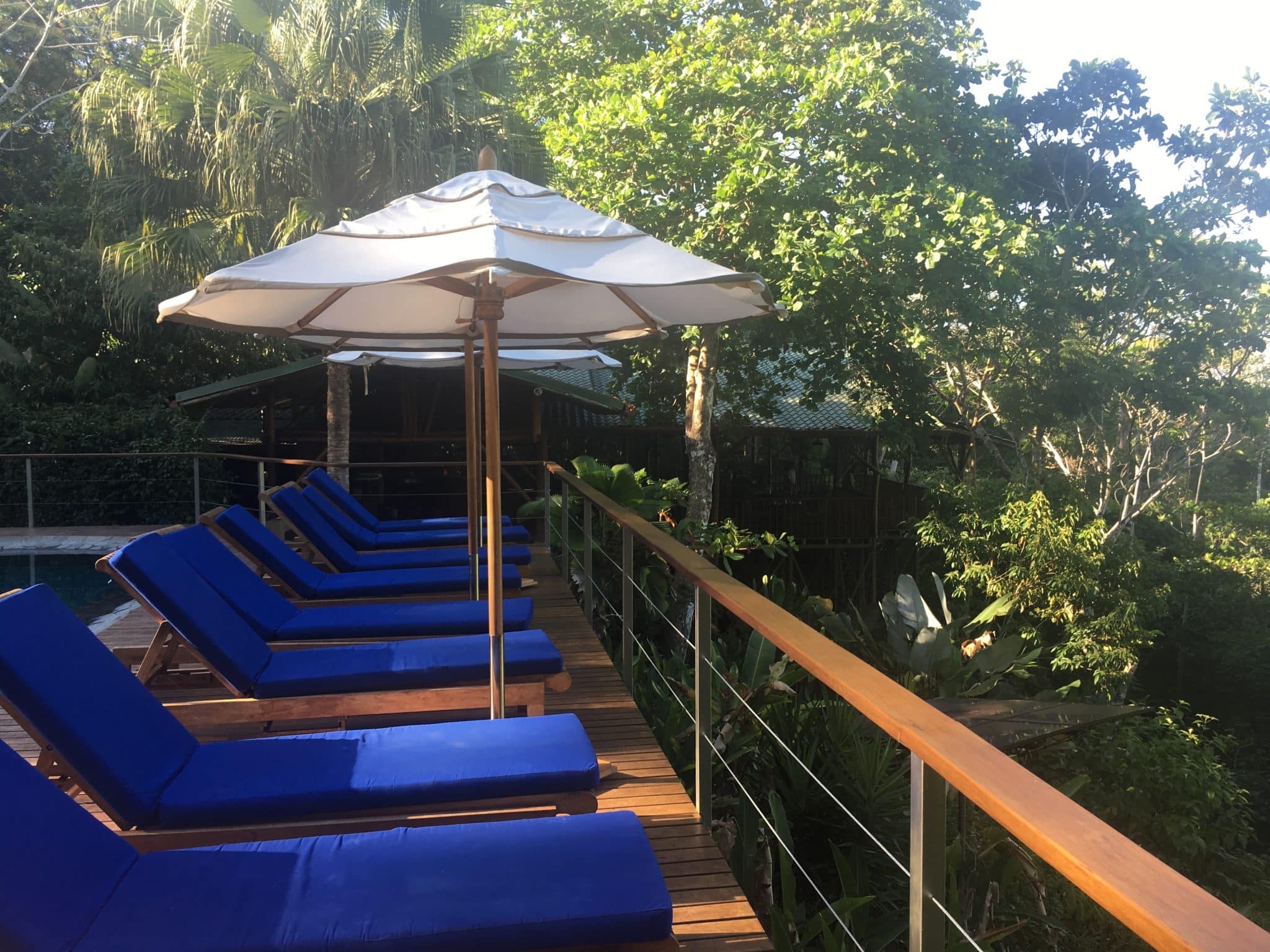 A remote rainforest stay at El Remanso Lodge