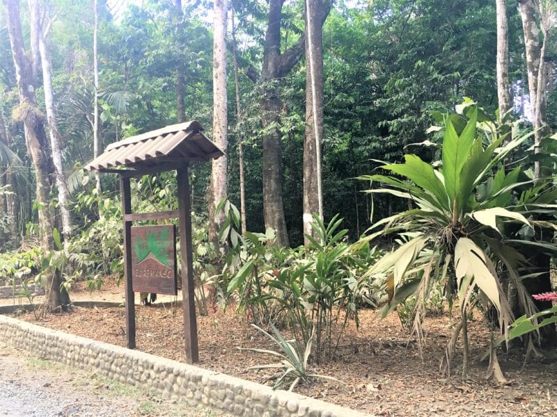 Adventures in the OSA Peninsula Adventures in the OSA Peninsula