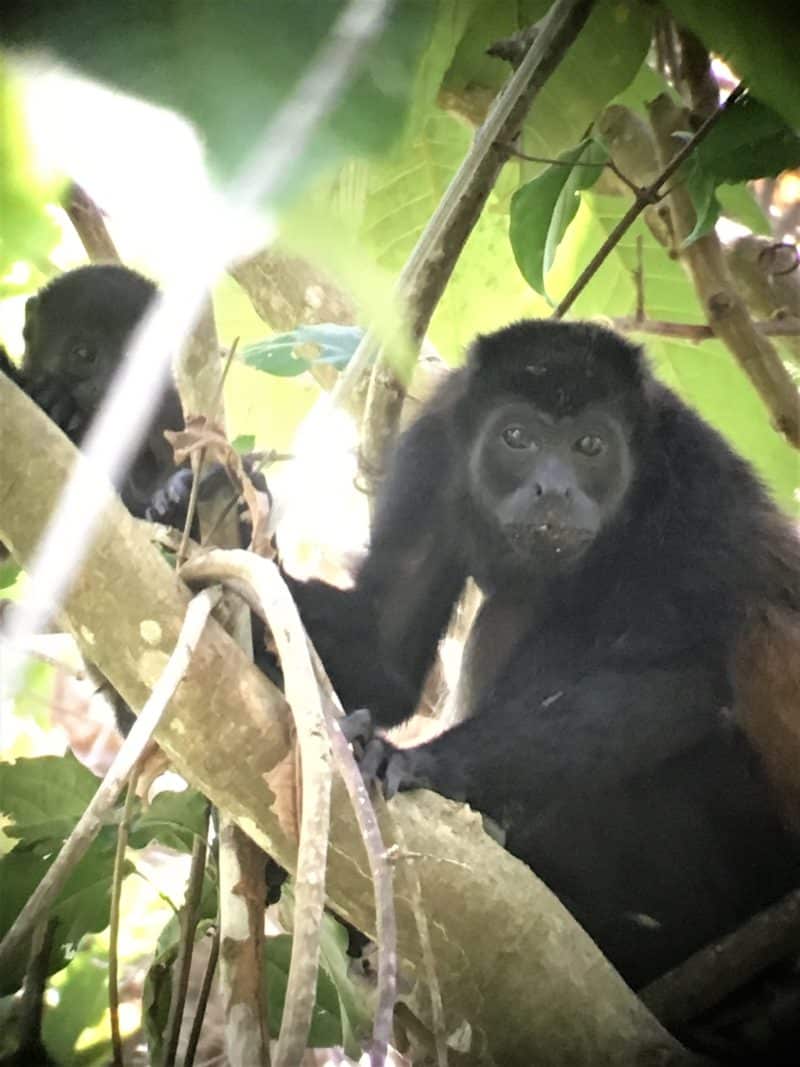 Adventures in the OSA Peninsula Adventures in the OSA Peninsula