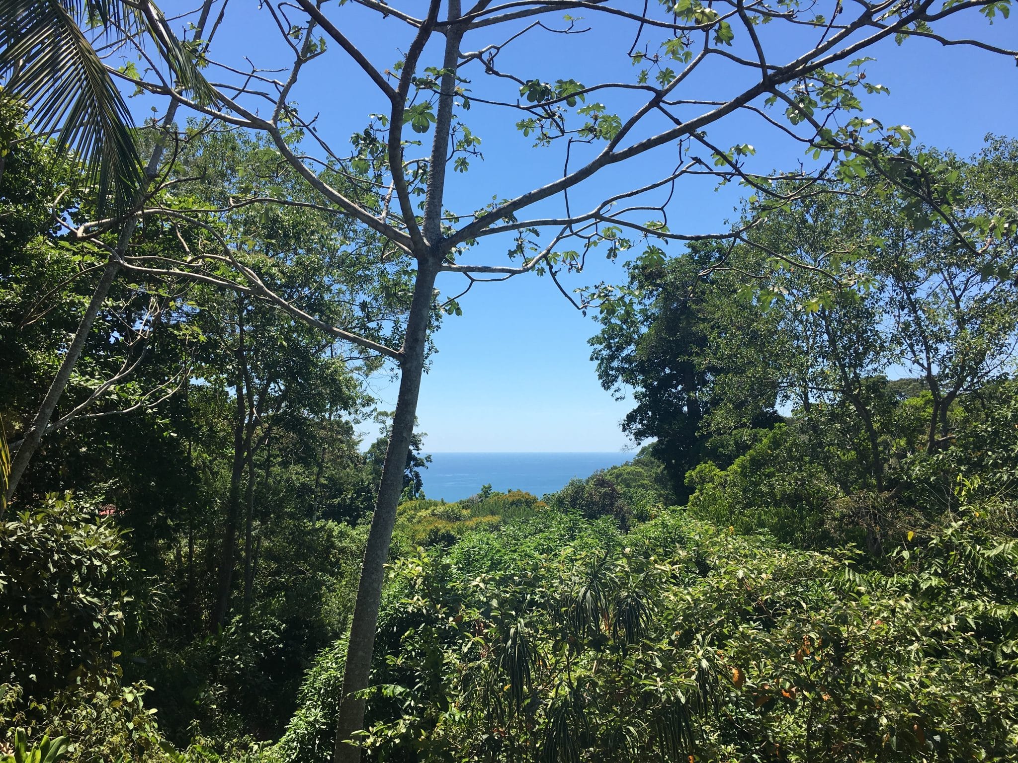 A remote rainforest stay at El Remanso Lodge