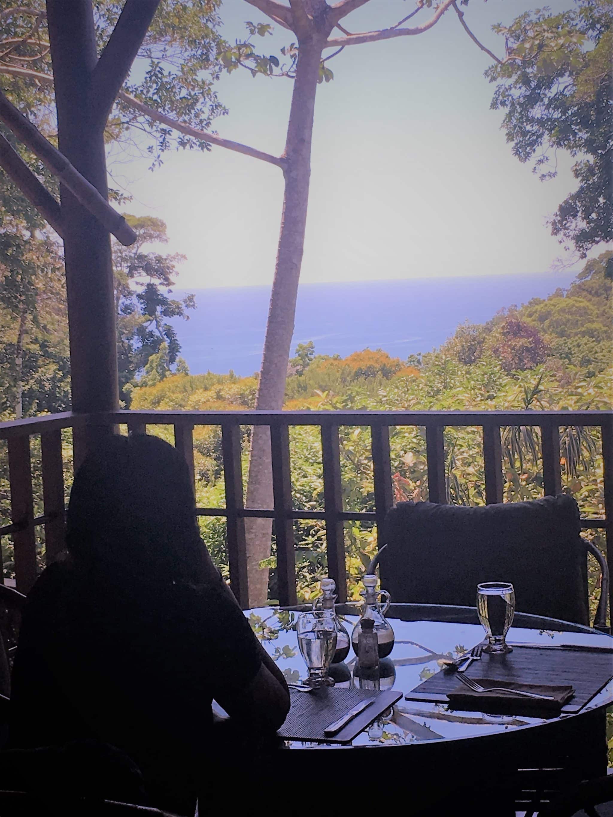 A remote rainforest stay at El Remanso Lodge