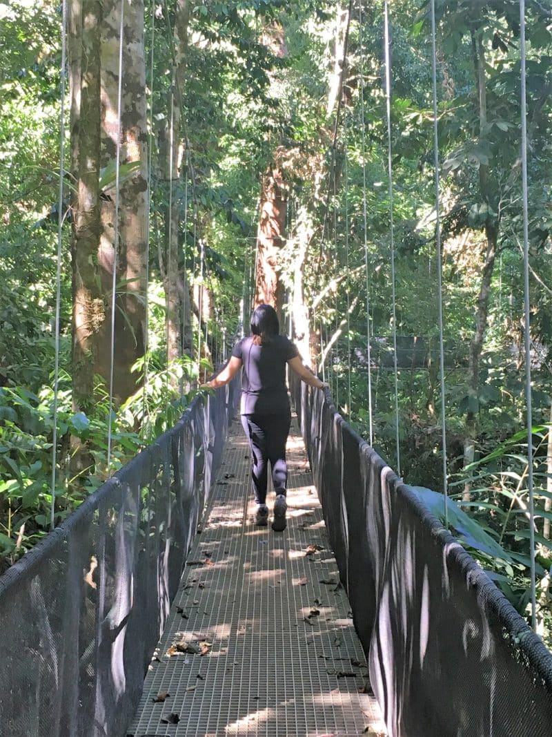 Adventures in the OSA Peninsula Adventures in the OSA Peninsula