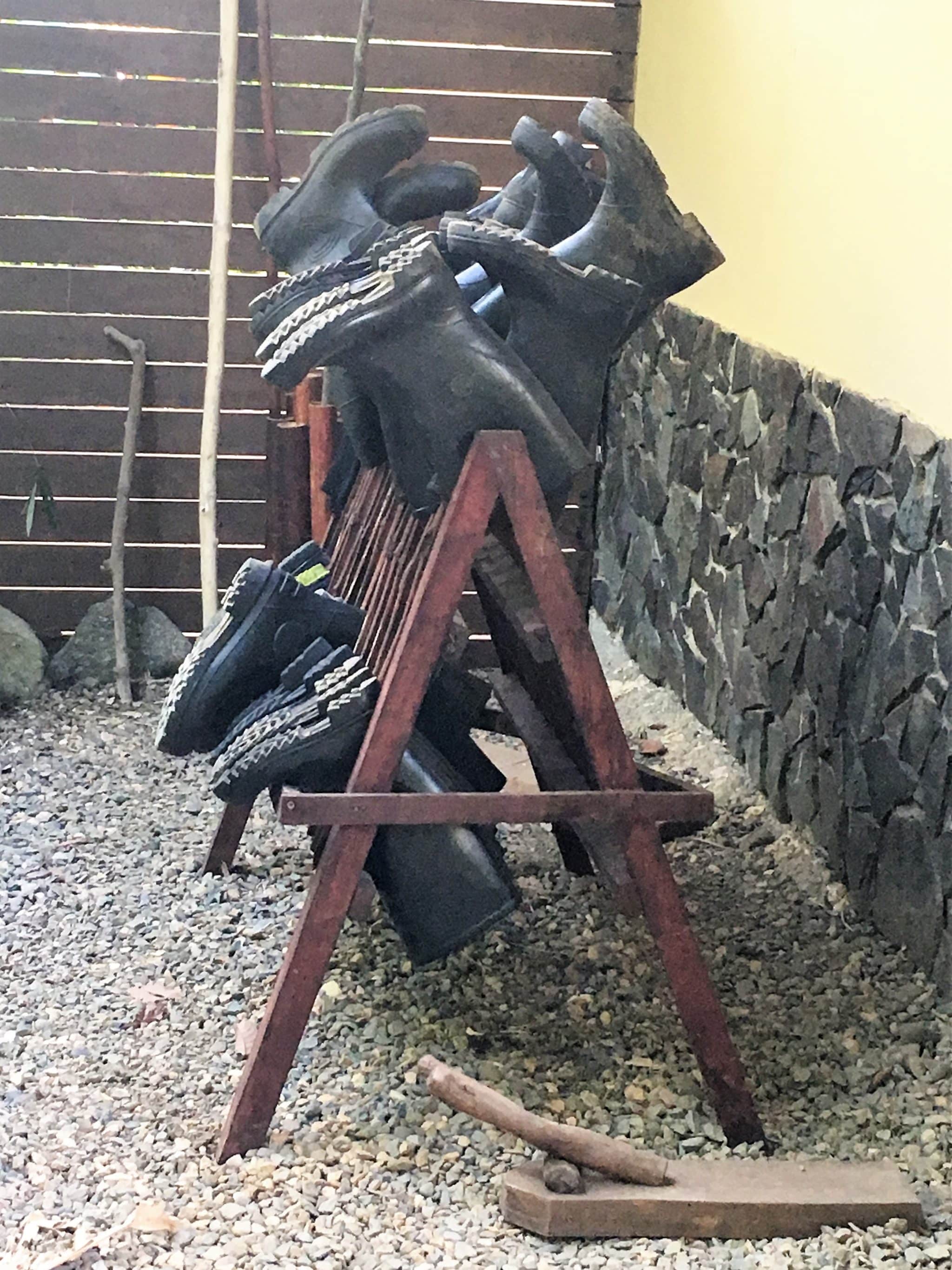 A remote rainforest stay at El Remanso Lodge