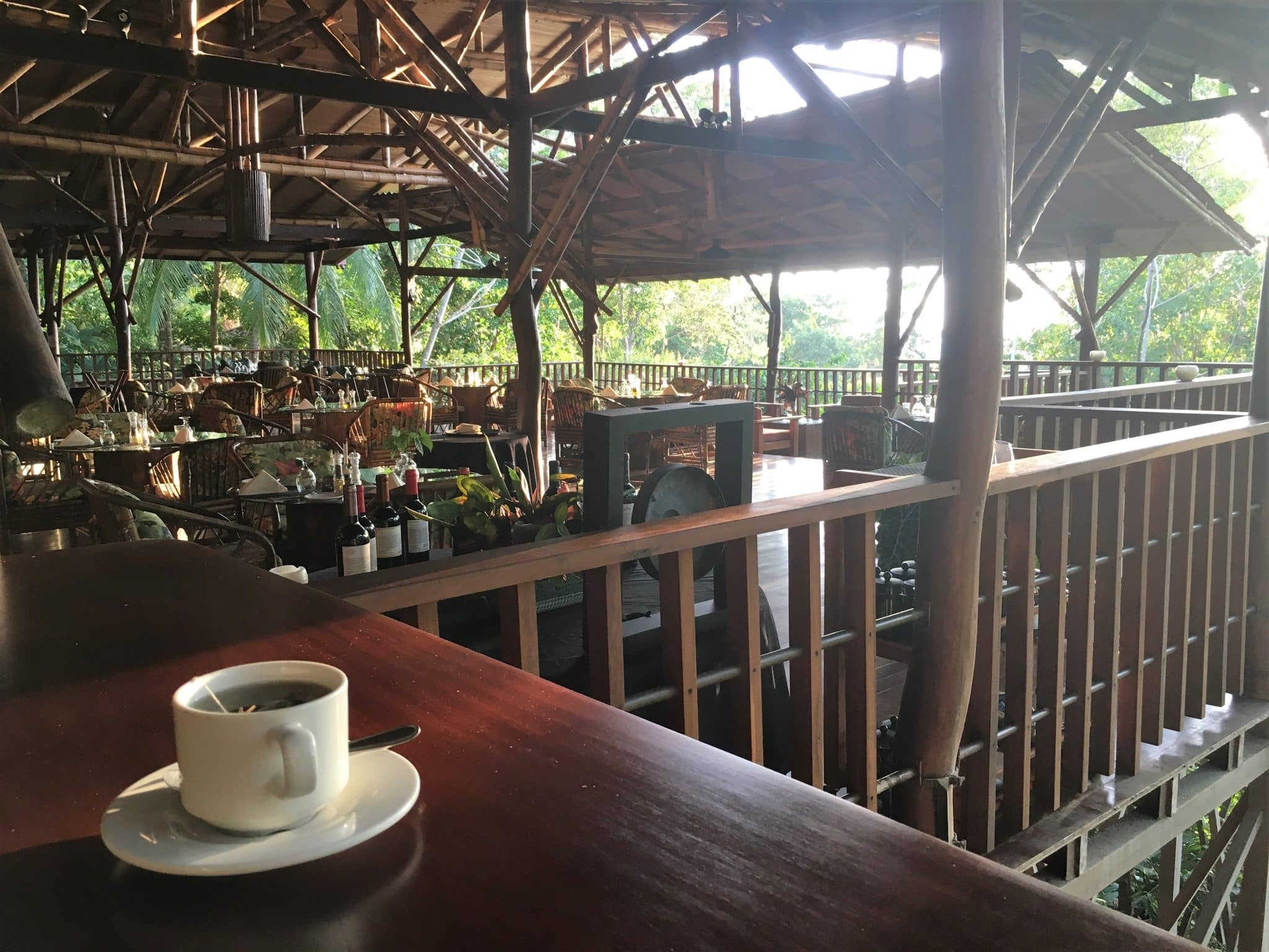 A remote rainforest stay at El Remanso Lodge