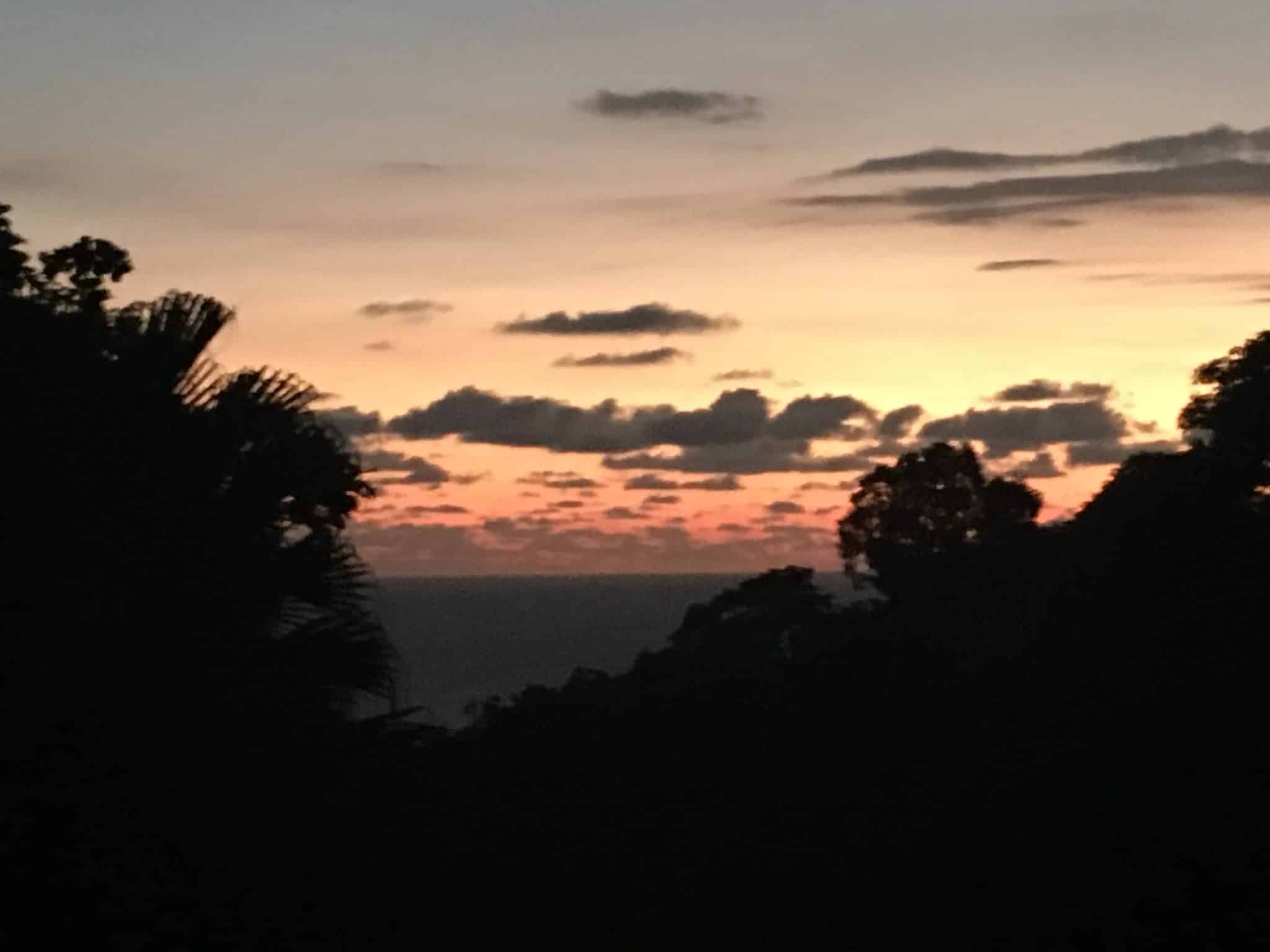 A remote rainforest stay at El Remanso Lodge