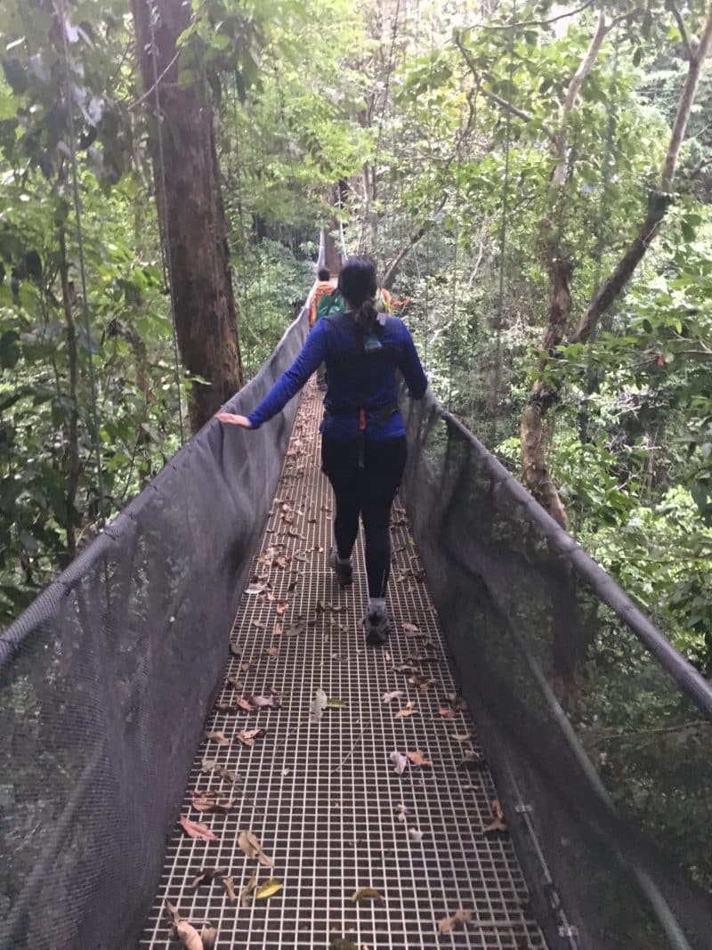 Adventures in the OSA Peninsula Adventures in the OSA Peninsula