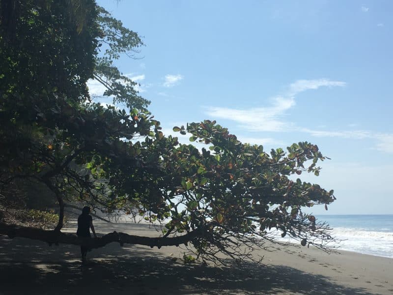 Adventures in the OSA Peninsula Adventures in the OSA Peninsula