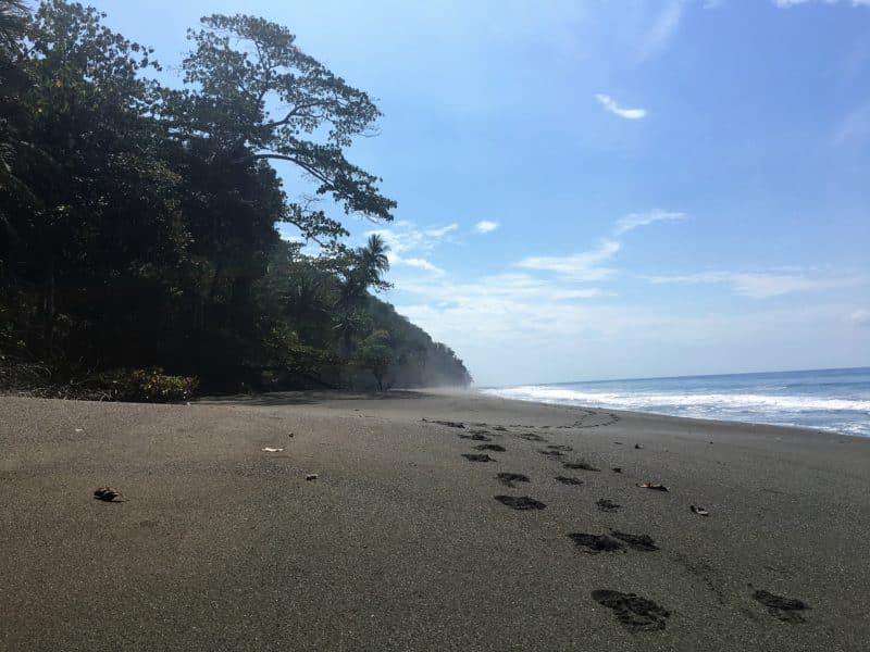 Adventures in the OSA Peninsula Adventures in the OSA Peninsula