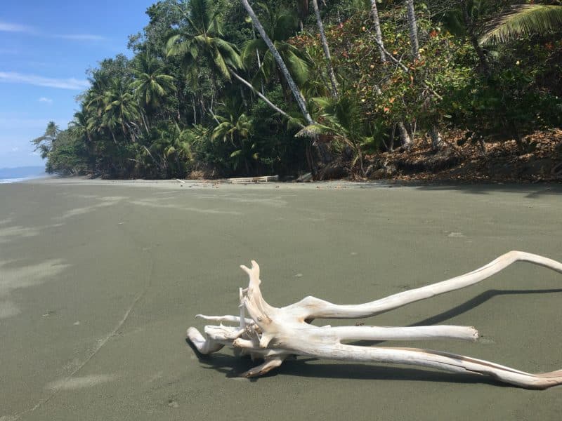 Adventures in the OSA Peninsula Adventures in the OSA Peninsula