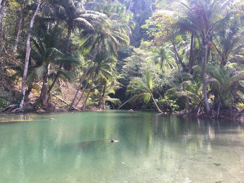 Adventures in the OSA Peninsula Adventures in the OSA Peninsula