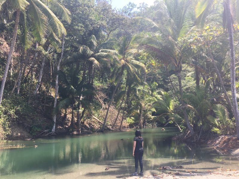 Adventures in the OSA Peninsula Adventures in the OSA Peninsula