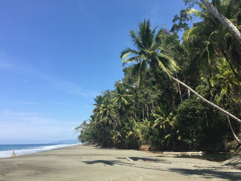 Adventures in the OSA Peninsula Adventures in the OSA Peninsula