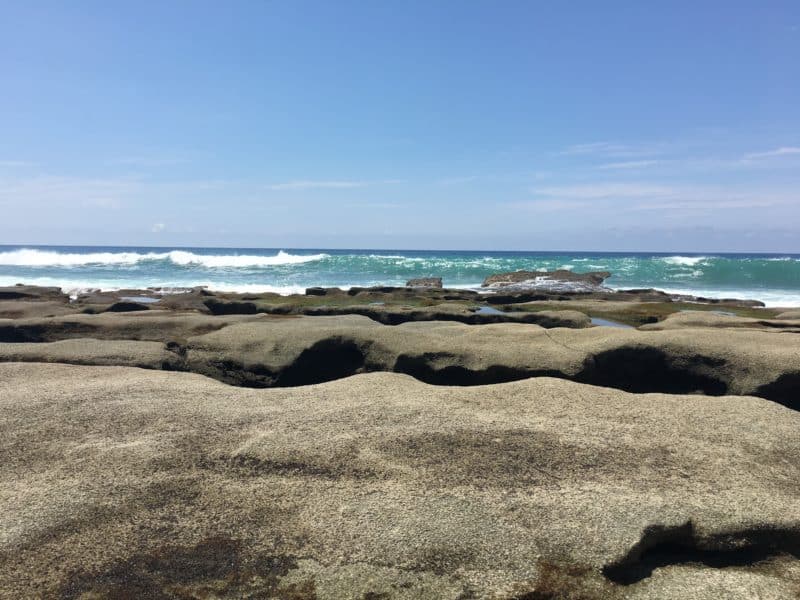 Adventures in the OSA Peninsula Adventures in the OSA Peninsula