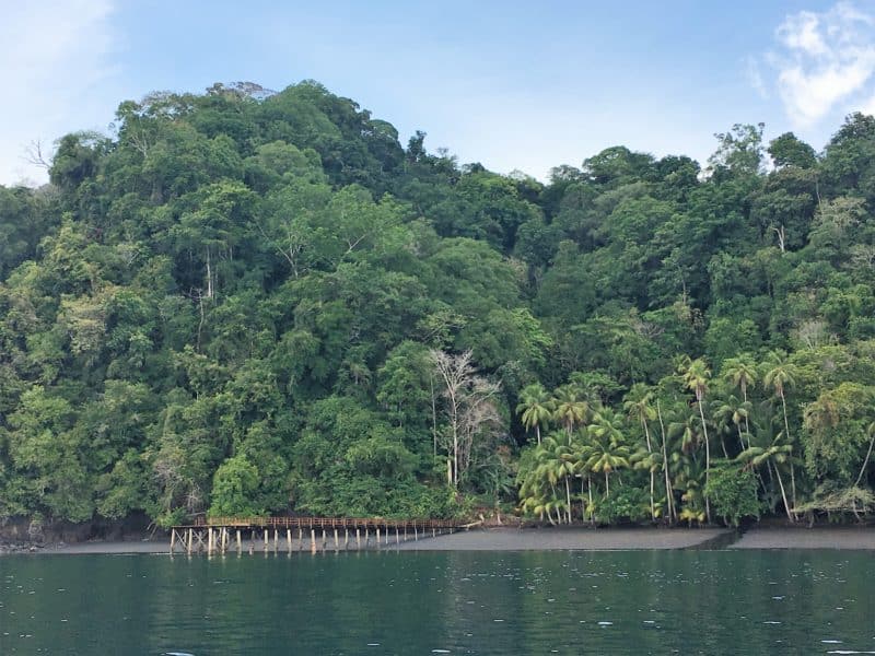 Adventures in the OSA Peninsula Adventures in the OSA Peninsula