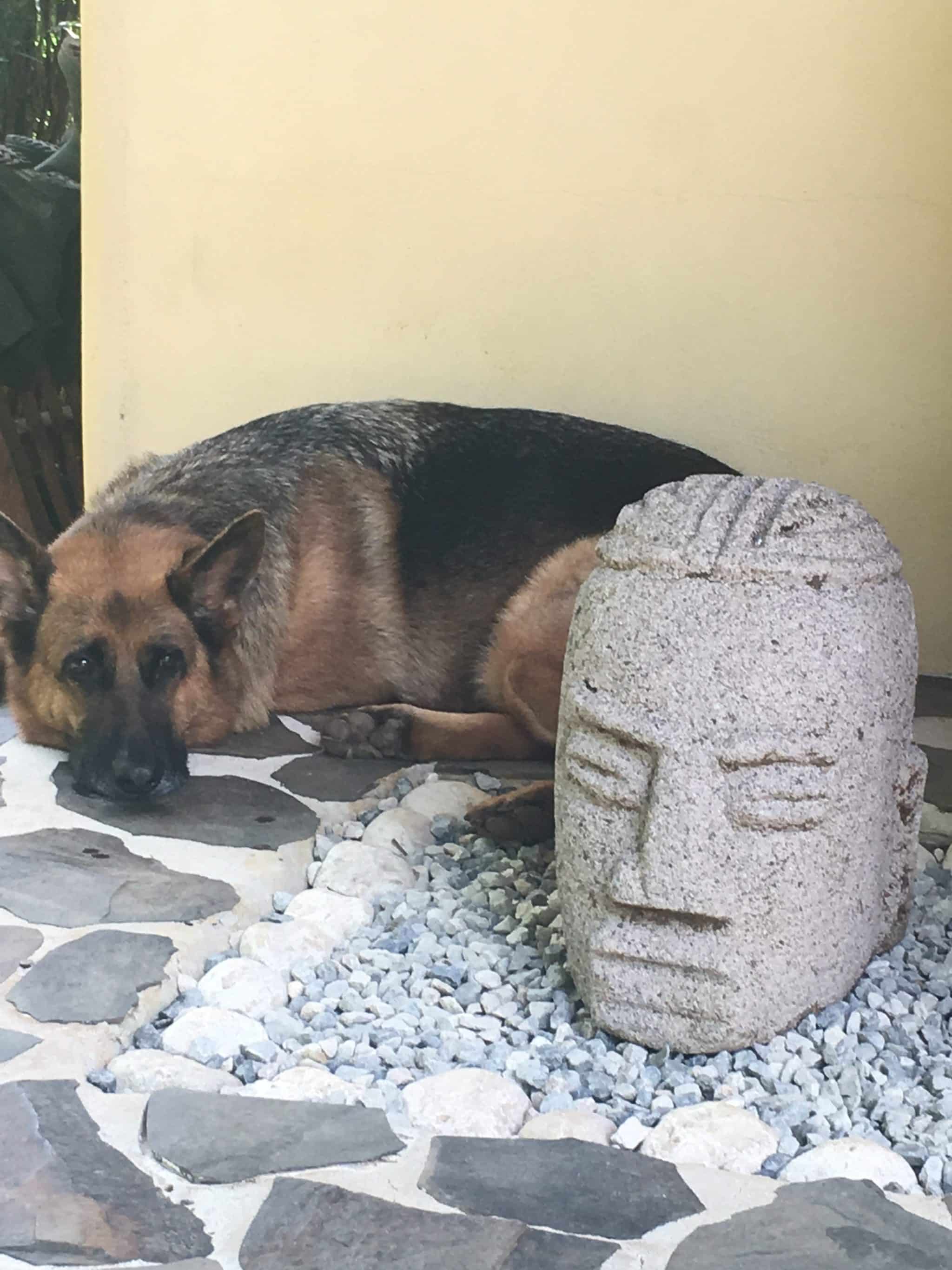 A remote rainforest stay at El Remanso Lodge