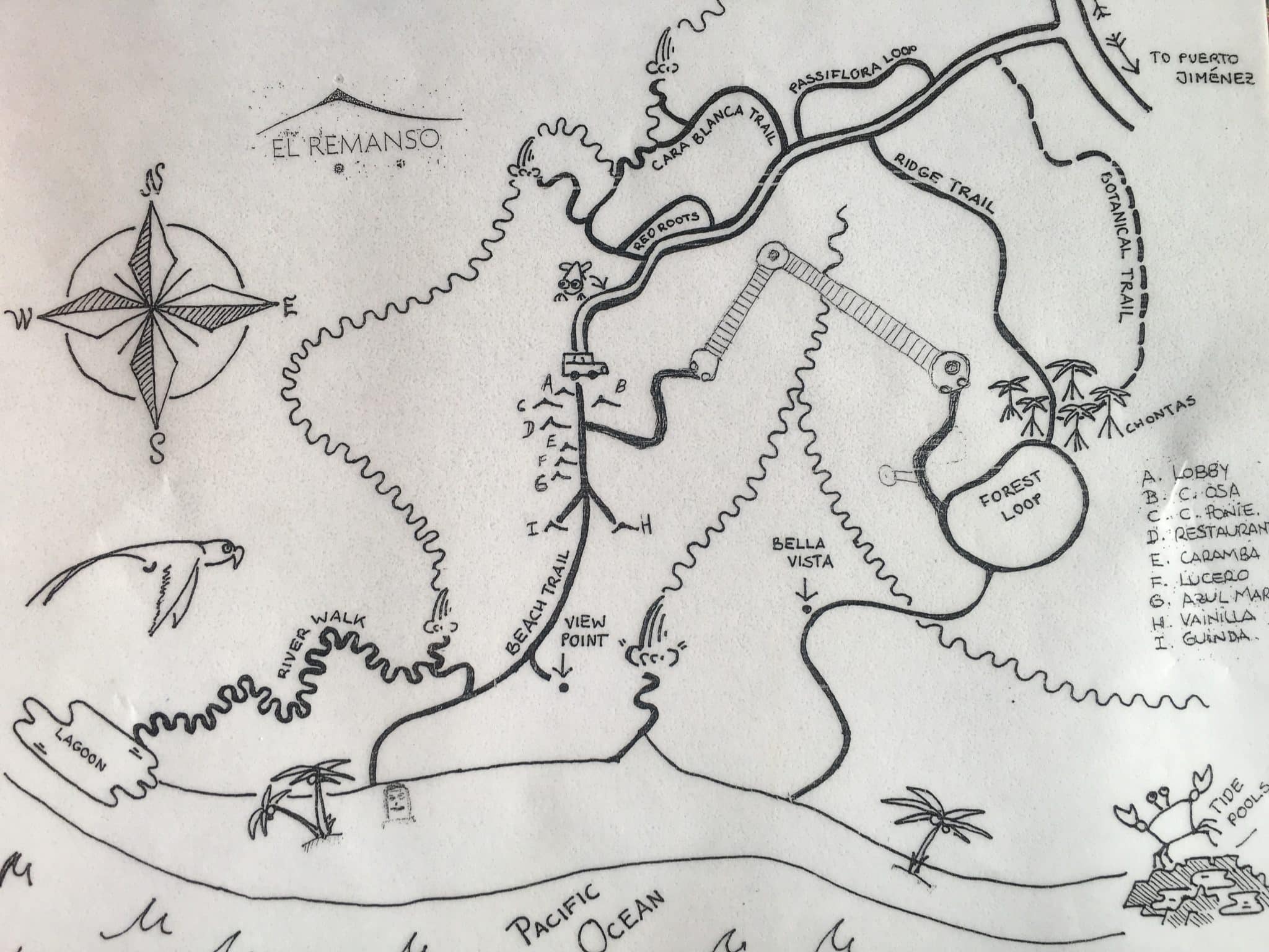 A remote rainforest stay at El Remanso Lodge