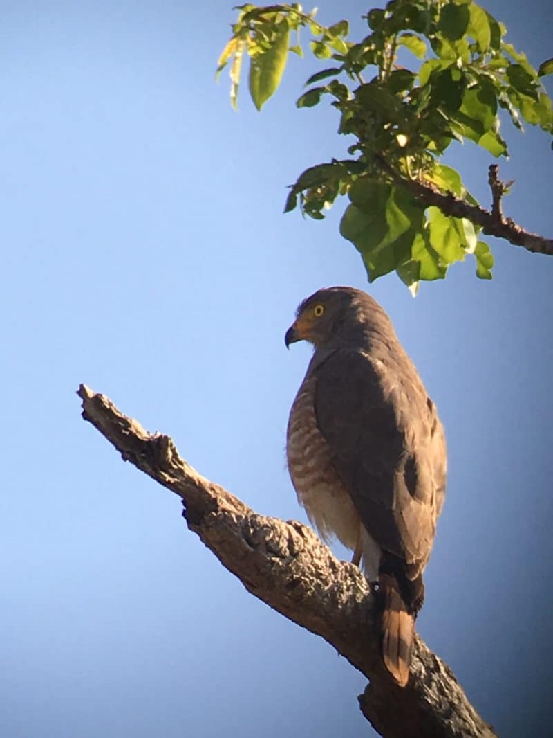 Adventures in the OSA Peninsula Adventures in the OSA Peninsula