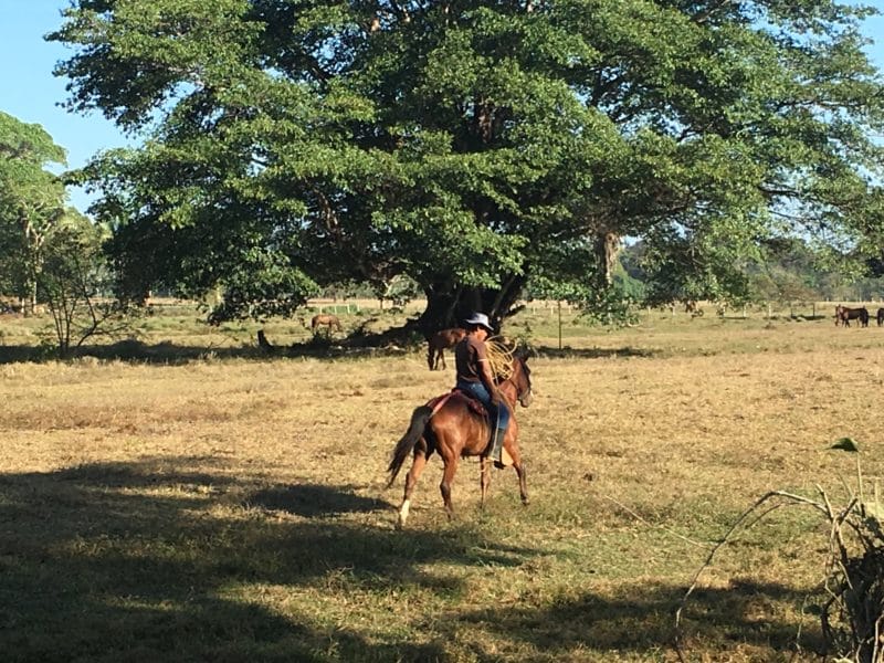 Adventures in the OSA Peninsula Adventures in the OSA Peninsula