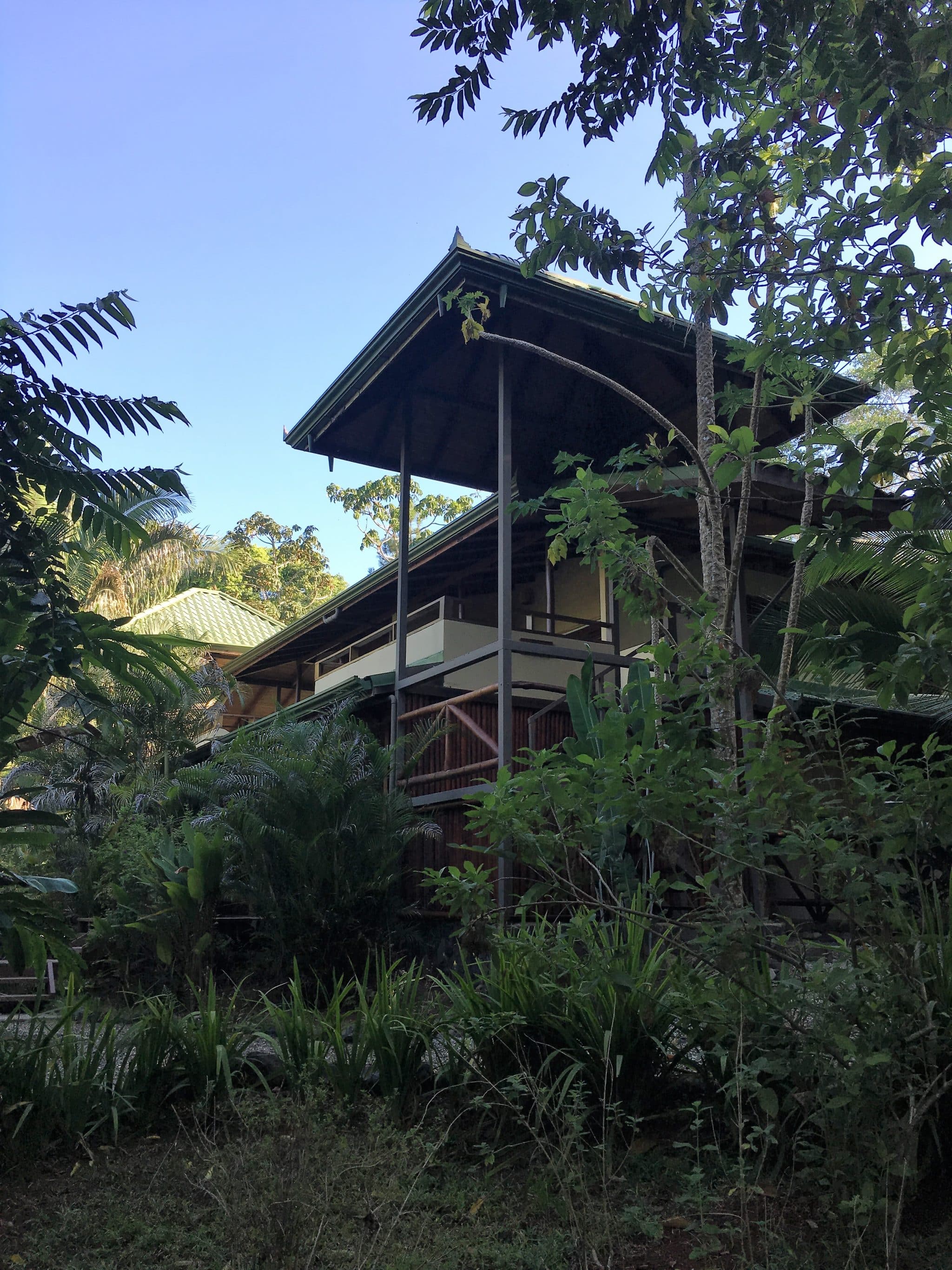 A remote rainforest stay at El Remanso Lodge