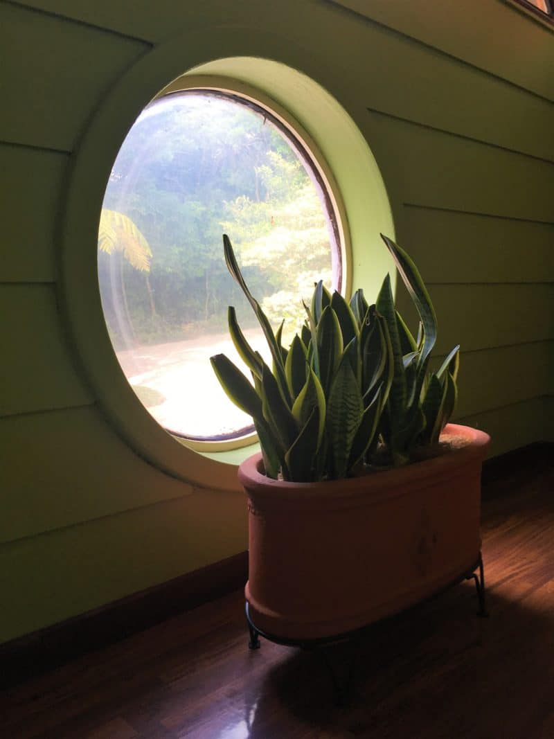 A misty stay in the Monteverde Cloud Forest