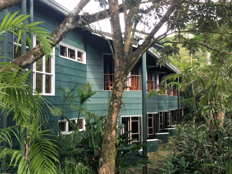 A misty stay in the Monteverde Cloud Forest