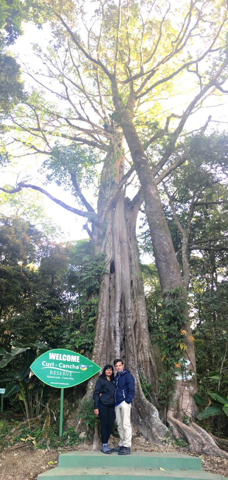 A misty stay in the Monteverde Cloud Forest