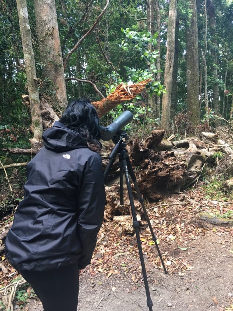 A misty stay in the Monteverde Cloud Forest
