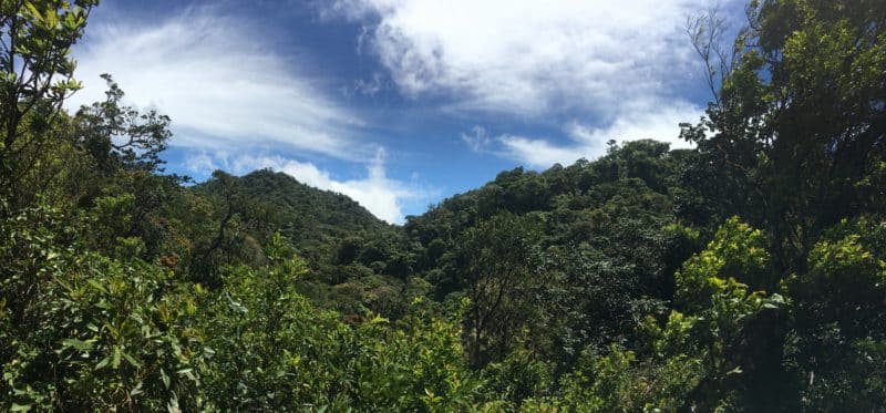 A misty stay in the Monteverde Cloud Forest