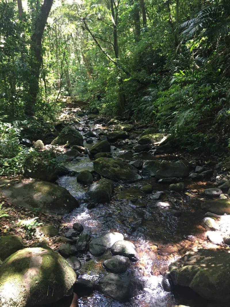 A misty stay in the Monteverde Cloud Forest