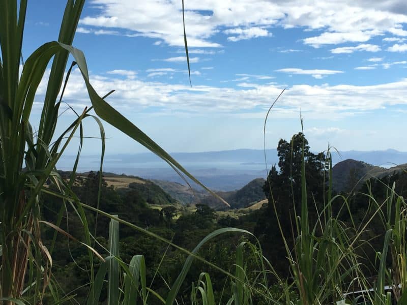 A misty stay in the Monteverde Cloud Forest
