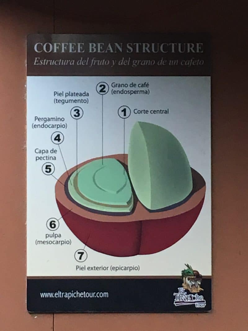 A misty stay in the Monteverde Cloud Forest