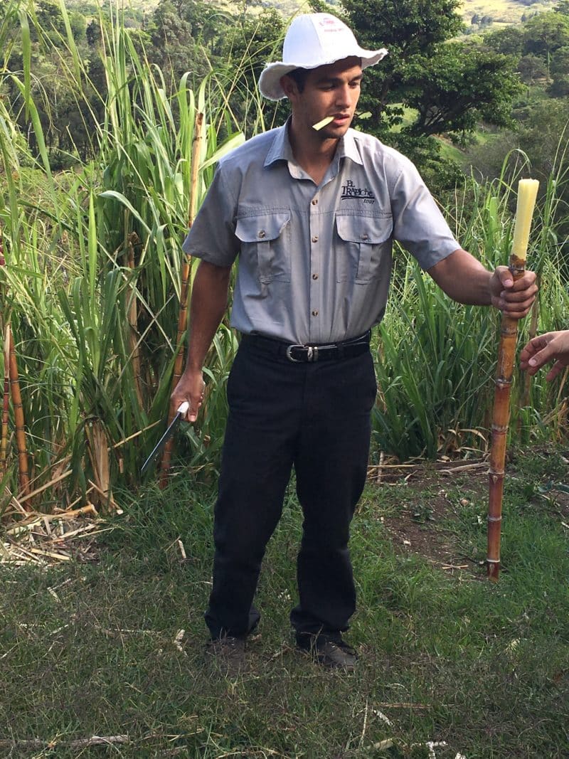 A misty stay in the Monteverde Cloud Forest