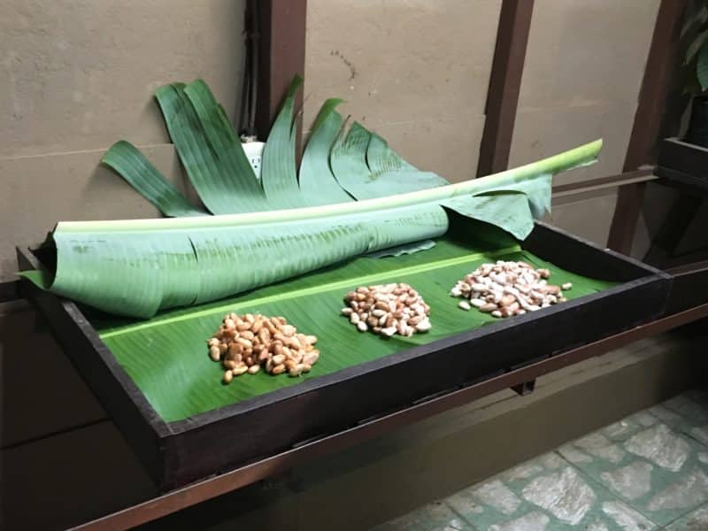 A misty stay in the Monteverde Cloud Forest