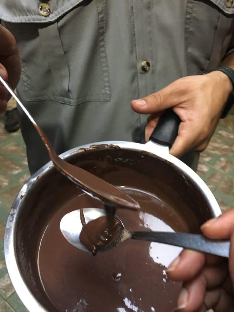 A misty stay in the Monteverde Cloud Forest