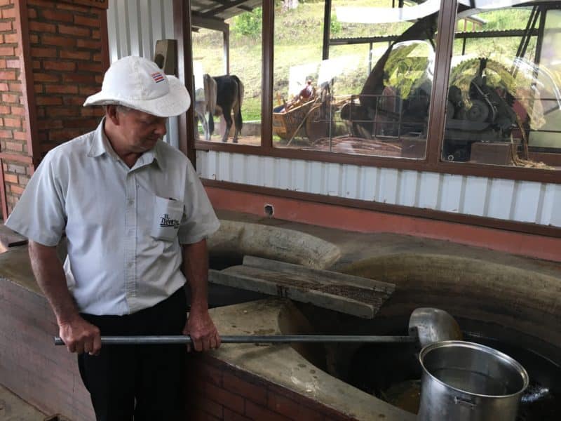A misty stay in the Monteverde Cloud Forest