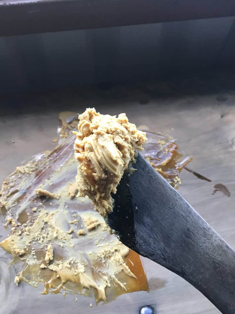 A misty stay in the Monteverde Cloud Forest