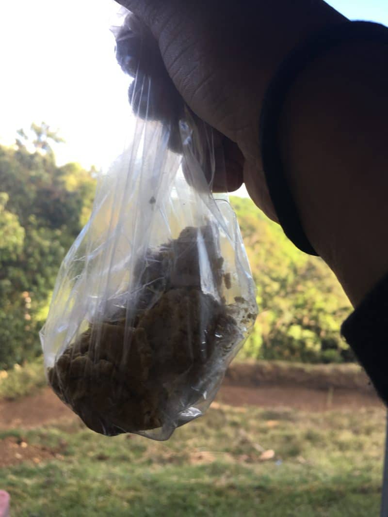 A misty stay in the Monteverde Cloud Forest