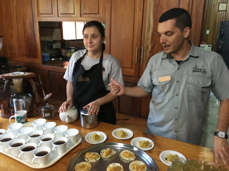 A misty stay in the Monteverde Cloud Forest