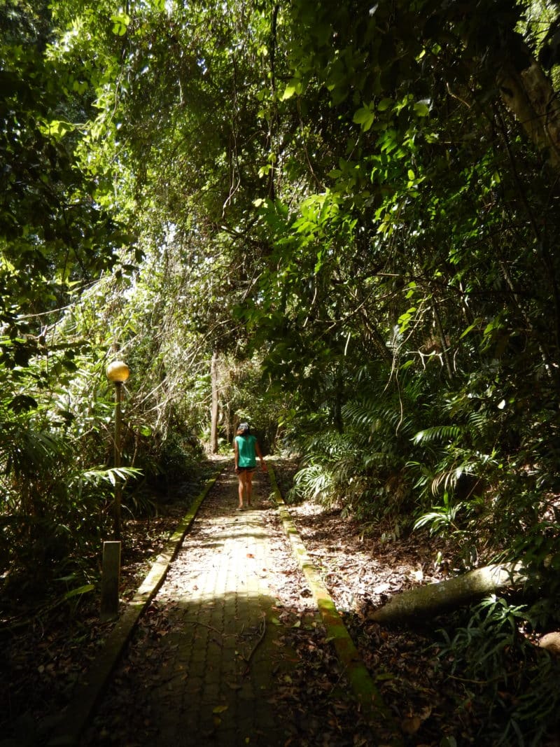 Bejal hiking in Pulau Manakan