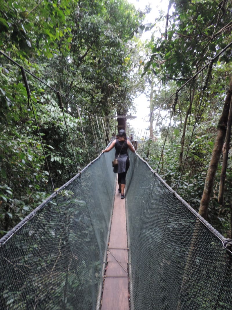 DSCN0509 Bejal walking down canoopy