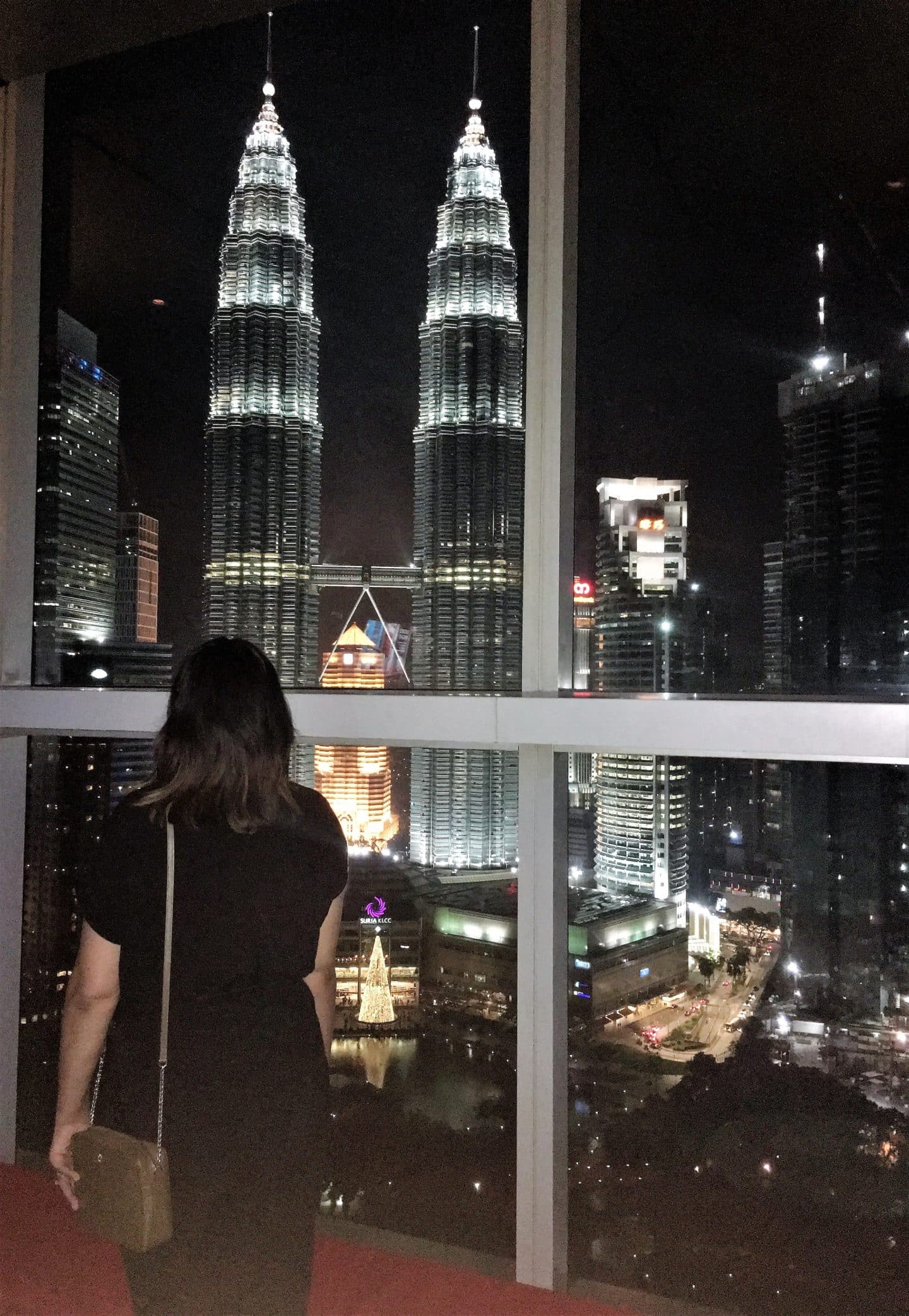 Bejal looking at Towers from Traders