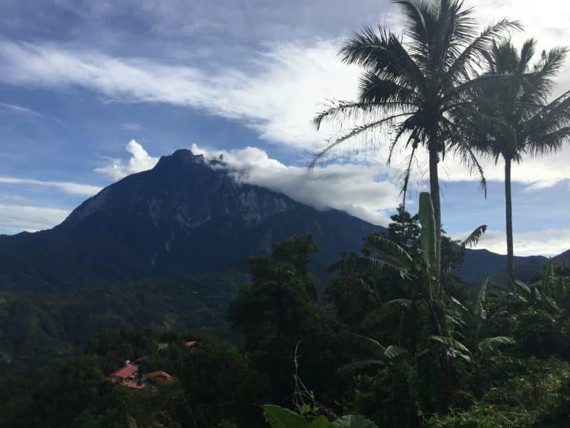 Borneo: A mountain, the poring forest and in search of the elusive rafflesia flower Borneo: A mountain, the poring forest and in search of the elusive rafflesia flower